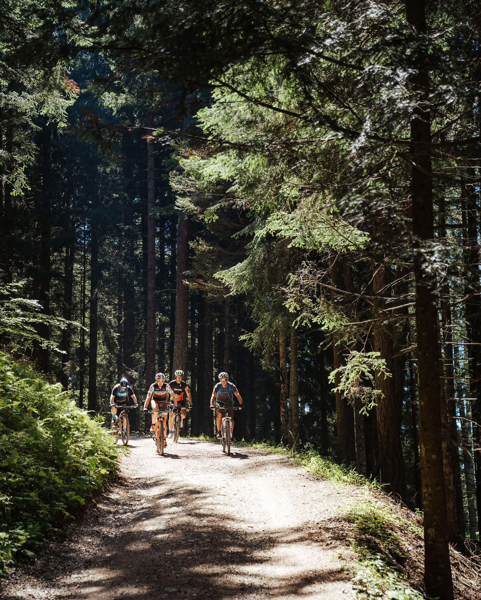 Four cyclists ride mountain bikes on a sunlit dirt trail through a dense, green forest. - Hotel Tenz