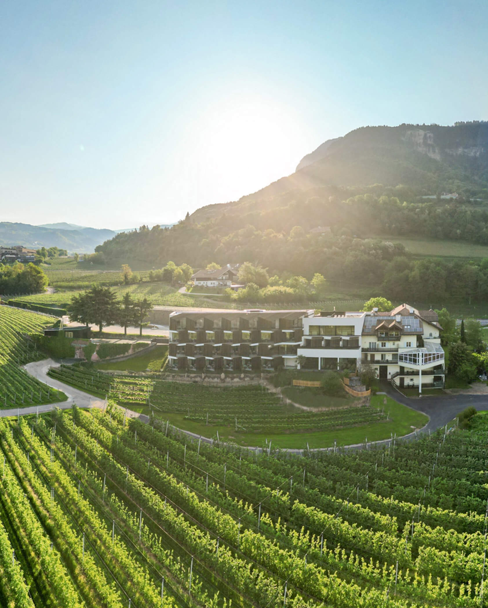 A modern hotel surrounded by vineyards with mountains in the background at sunrise or sunset. - Hotel Tenz