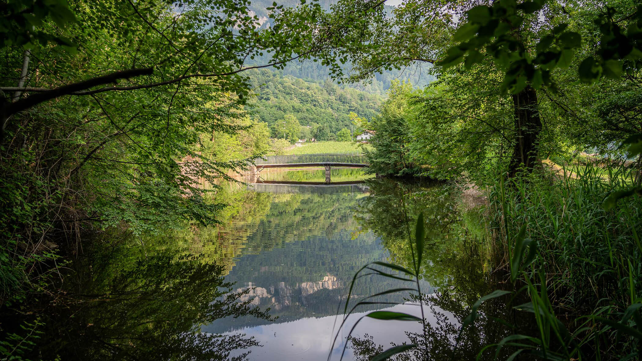 A small bridge crosses a calm river surrounded by lush green trees, with reflections visible in the water. - Hotel Tenz