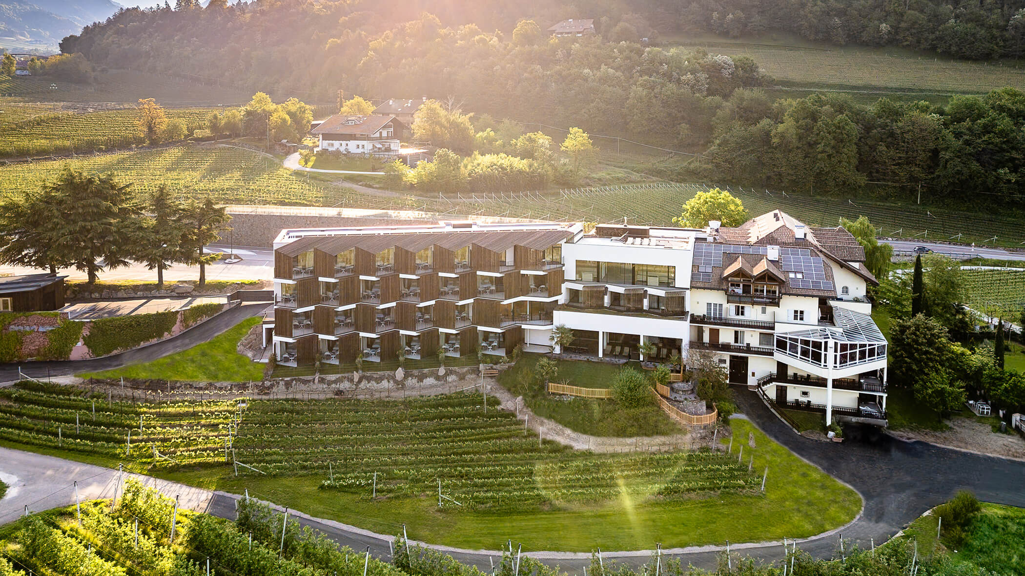 A modern hillside hotel surrounded by vineyards and greenery under warm sunlight. - Hotel Tenz