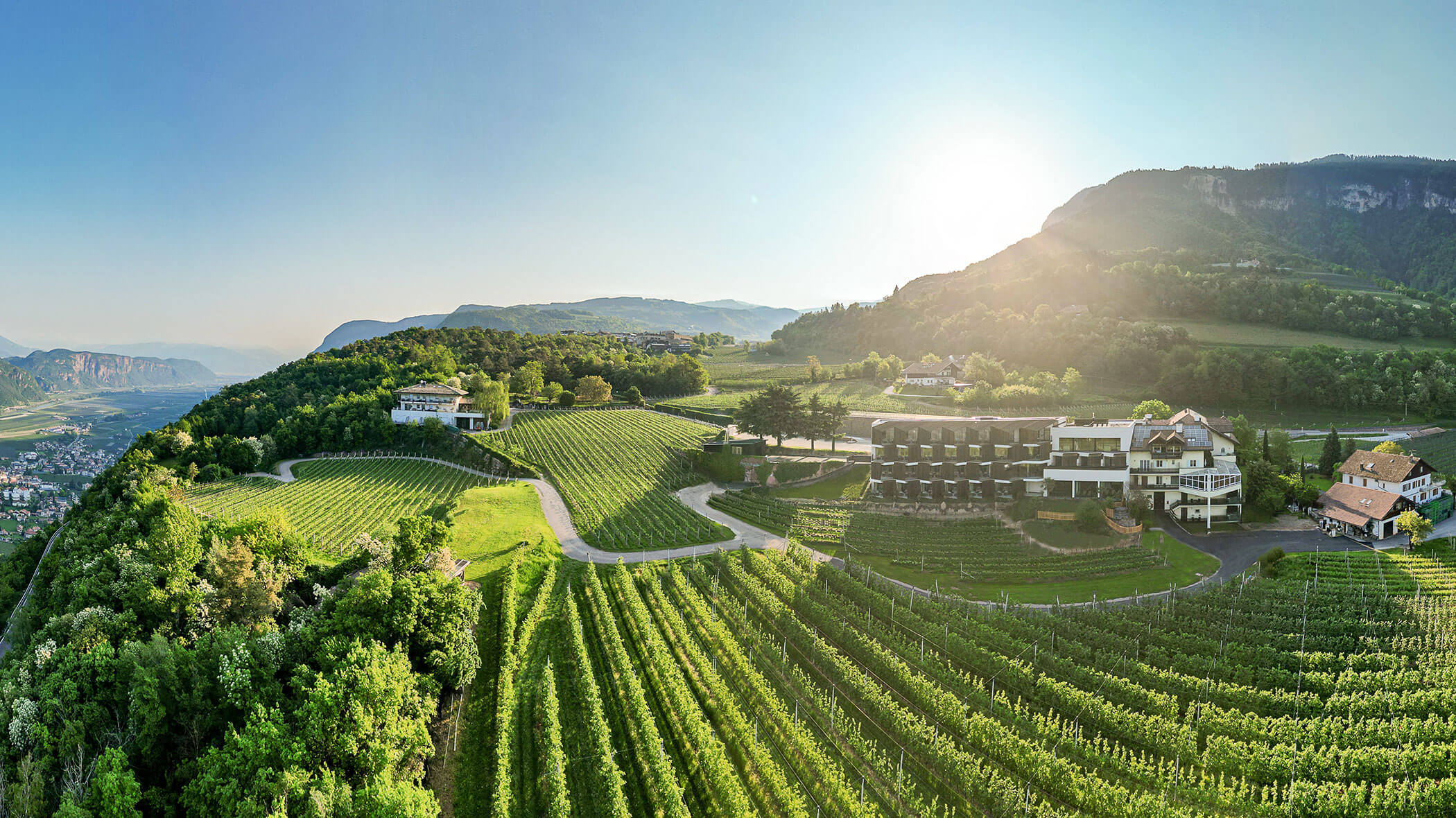 Weinberg mit grünen Feldern, Gebäuden und Hügeln unter einem klaren Himmel bei Sonnenaufgang oder Sonnenuntergang. - Hotel Tenz