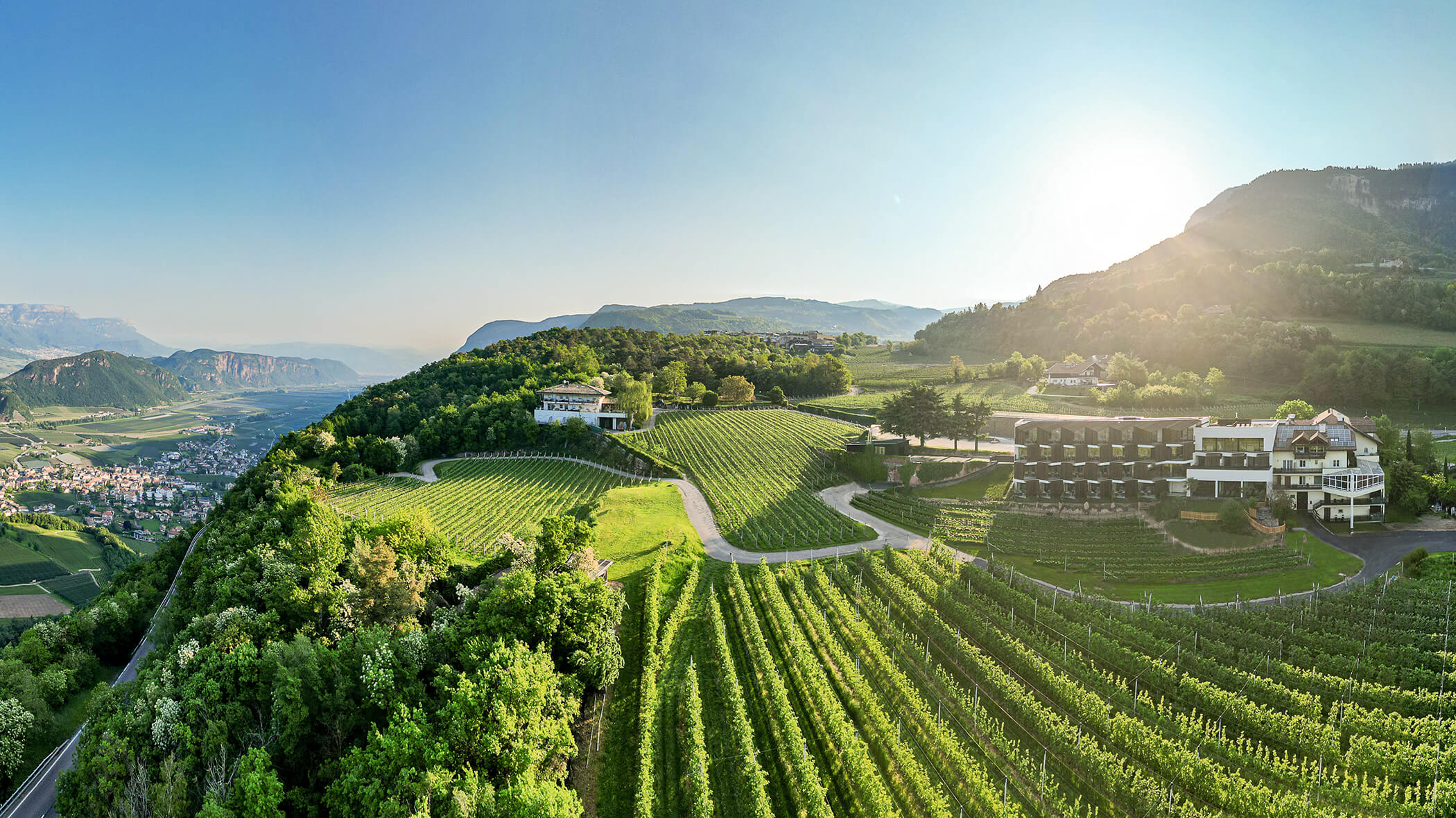 A panoramic view of a hillside vineyard with buildings and mountains in the background at sunrise. - Hotel Tenz