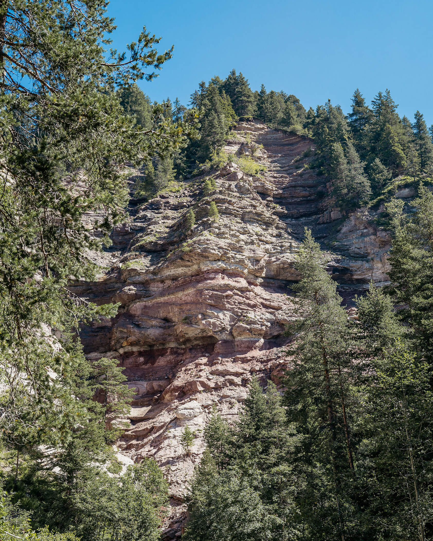 Steep, layered rock cliff with pine trees under a clear blue sky. - Hotel Tenz