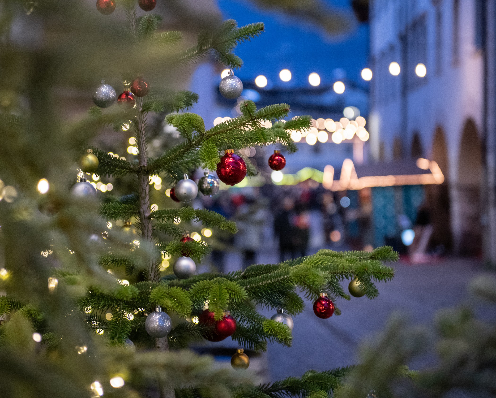 Weihnachtliche Stimmung in und um Montan - Christbaumschmuck und Beleuchtung auf Tannenbaum 