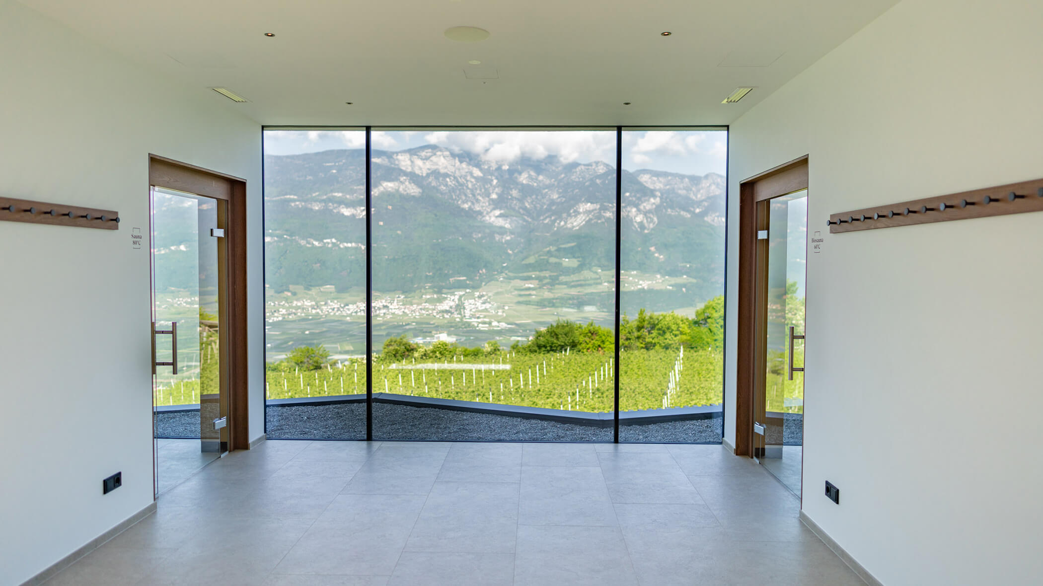 A bright room with large windows overlooks a vineyard and distant mountains under a partly cloudy sky. - Hotel Tenz